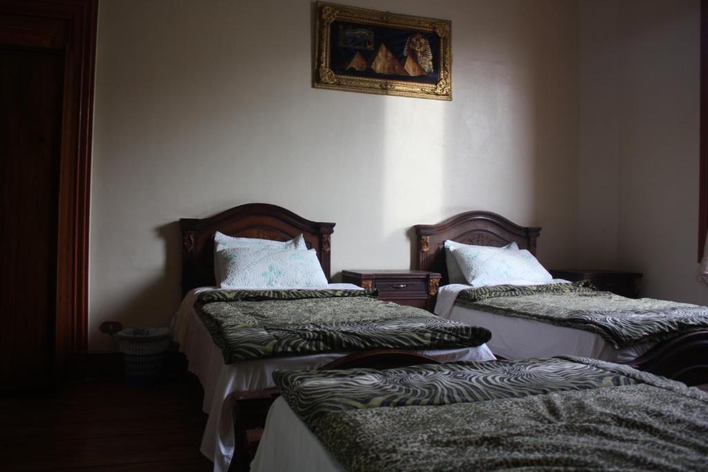 Hola Cairo Hostel エクステリア 写真