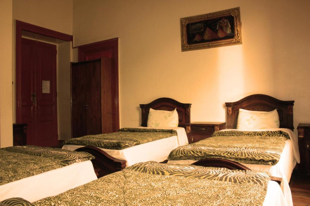 Hola Cairo Hostel 部屋 写真