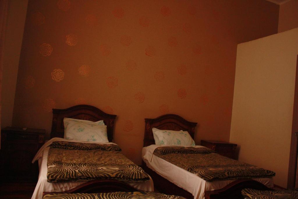 Hola Cairo Hostel エクステリア 写真